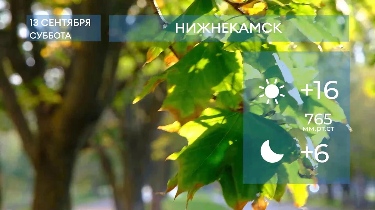 Прогноз погоды в Нижнекамске на 13-е сентября 2025 года