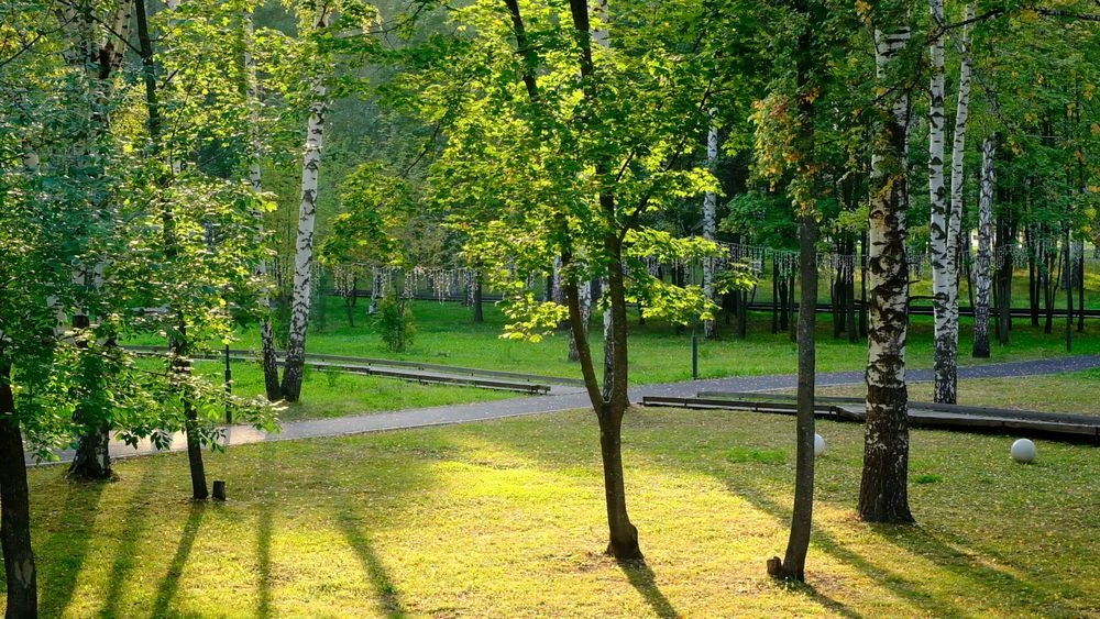 парк в Нижнекамске, лето