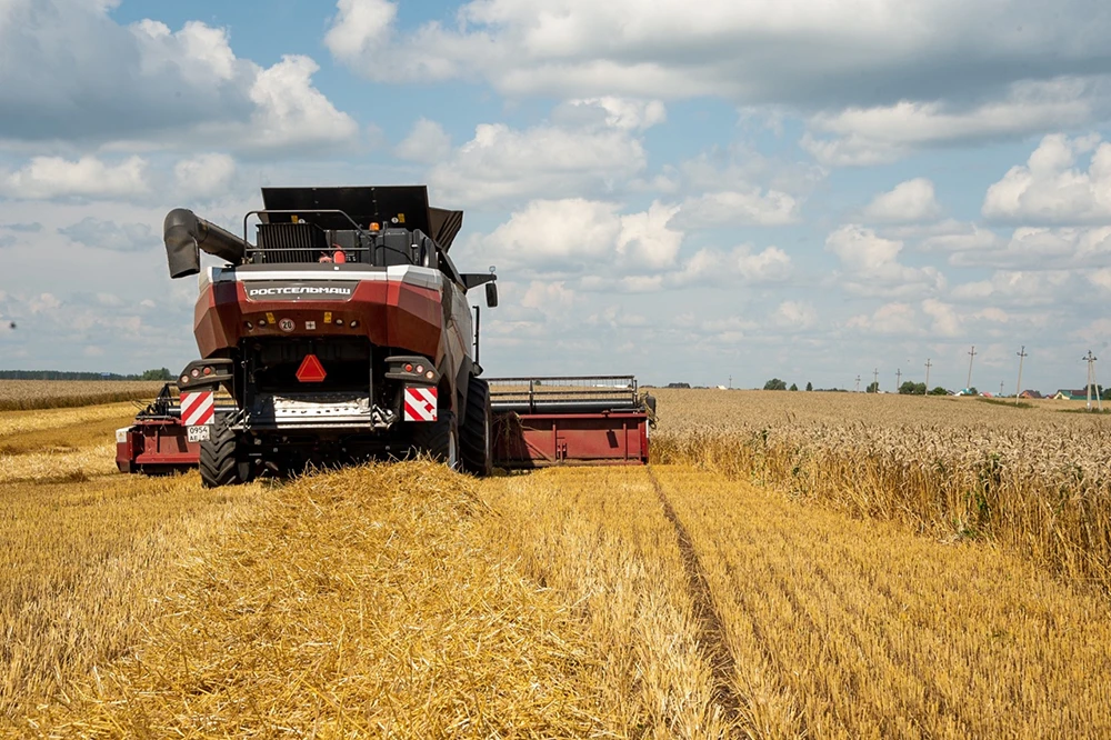 комбайн в поле убирает зерновые культуры в нижнекамском районе