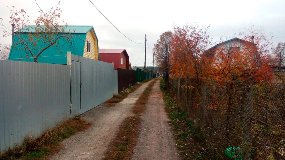 Осень в огородах