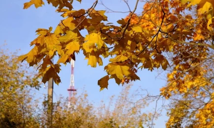 Синоптик пообещал возвращение бабьего лета в Татарстан - НТР 24