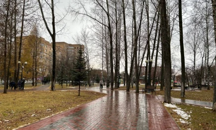 Синоптики рассказали, когда в Татарстане наступит настоящая осень - НТР 24