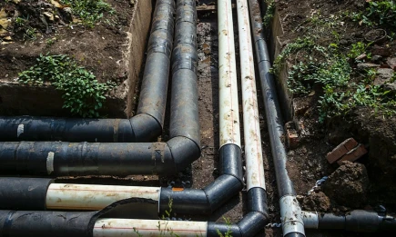 Всё идёт по плану - НТР 24