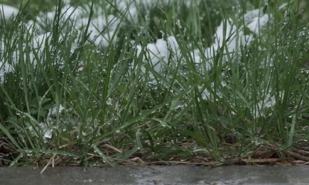 Синоптики предупредили о заморозках в Татарстане - НТР 24