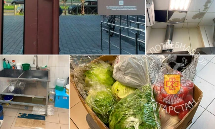 В Татарстане закрыли кафе, в котором замораживали и повторно подавали непроданные блюда - НТР 24