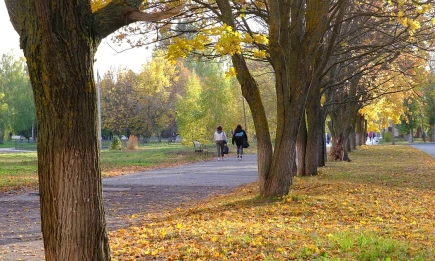 Где в Татарстане было теплее всего 23 сентября - жара достигла аномальной отметки - НТР 24