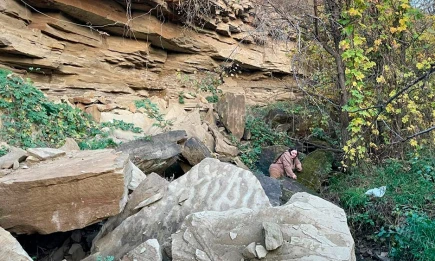 Редкий гриб лензитес Варнье обнаружили в Татарстане - НТР 24