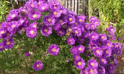 Осень откладывается: в Татарстан придёт потепление до +22 градусов - НТР 24