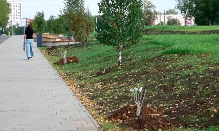 В Нижнекамске благоустраивают сквер и ремонтируют здание прокуратуры - НТР 24