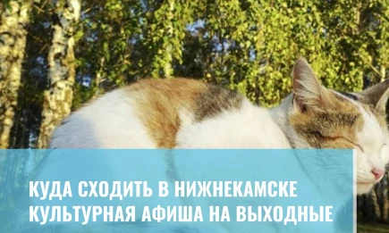 Куда сходить в Нижнекамске: культурная афиша на выходные - НТР 24