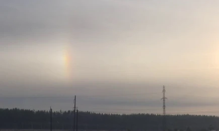 Вильфанд рассказал о заморозках до -5 градусов в Поволжье - НТР 24