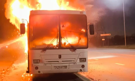 Около Нижнекамска дотла сгорел пригородный автобус - НТР 24