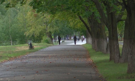 В Нижнекамске больше суток не могут найти девочку-подростка - НТР 24