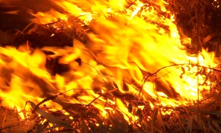 В Татарстане ввели штормовое предупреждение из-за пожароопасности лесов - НТР 24