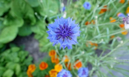 В четверг в Татарстане потеплеет до +23 градусов - НТР 24