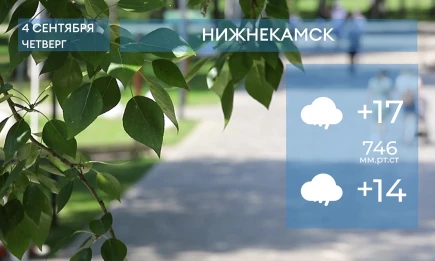 Прогноз погоды в Нижнекамске на 4-е сентября 2025 года - НТР 24