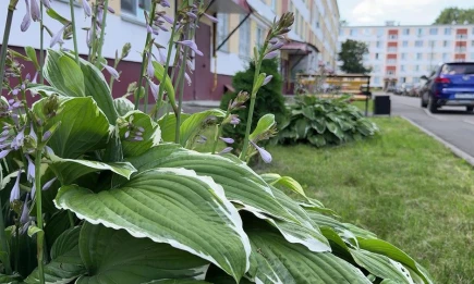 До +23 градусов: жителей Татарстана ждёт тёплая пятница - НТР 24