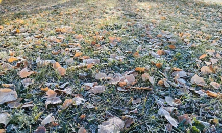 В Татарстане ожидаются ночные заморозки до -1 градуса - НТР 24