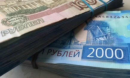 Профессор КФУ объяснил плюсы и минусы банкротства - НТР 24