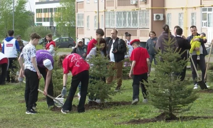 Стартовал приём заявок на конкурс «Экология — дело каждого» - НТР 24