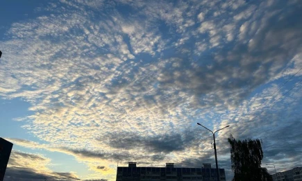 Сильные магнитные бури в выходные спрогнозировали учёные - НТР 24