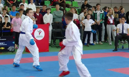 В Нижнекамске прошло первенство ПФО по карате - НТР 24