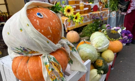 В Нижнекамске с 13 сентября открываются сельхозярмарки - НТР 24