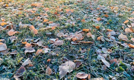 Выходные принесут в Татарстан отрицательную температуру - НТР 24