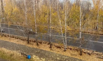 Метеоролог рассказал, когда в Татарстане ждать первый снег - НТР 24