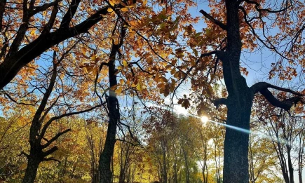 Землю накрыла самая сильная магнитная буря за 3 месяца - НТР 24