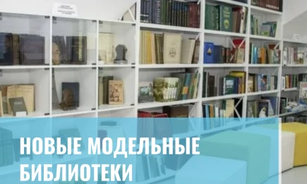 Новые модельные библиотеки - НТР 24