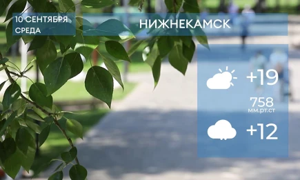 Прогноз погоды в Нижнекамске на 10-е сентября 2025 года - НТР 24