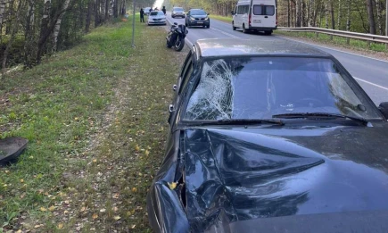На М-7 в Татарстане машина насмерть сбила грибника - НТР 24
