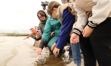 «Нижнекамскнефтехим» выпустил в Каму 200 тысяч мальков стерляди - НТР 24