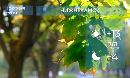 Прогноз погоды в Нижнекамске на 1-е октября 2025 года - НТР 24