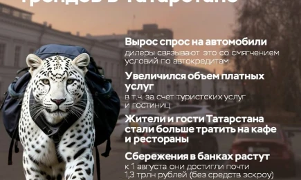 Потребительские тренды в Татарстане: ремонт отложен, в приоритете – сбережения и путешествия - НТР 24