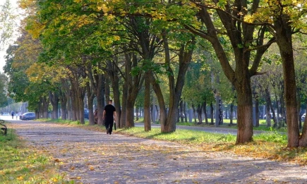 В среду в Татарстане потеплеет до +22 градусов - НТР 24