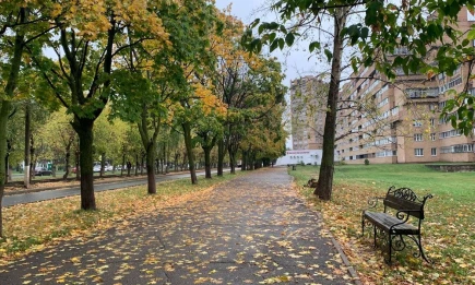 Осенний удар: в Татарстане похолодает до +3 градусов - НТР 24