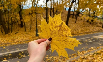 Синоптик спрогнозировал, когда в Татарстане начнётся золотая осень - НТР 24
