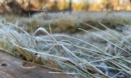 Татарстанцев предупредили о морозной погоде в ночь на воскресенье - НТР 24