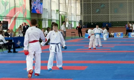 В Нижнекамске стартовало первенство Приволжского федерального округа по каратэ - НТР 24