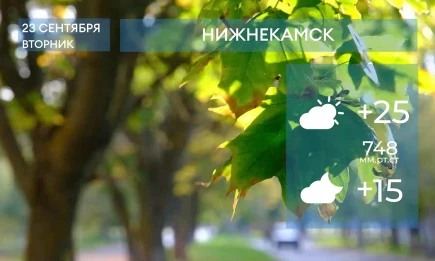Прогноз погоды в Нижнекамске на 23-е сентября 2025 года - НТР 24