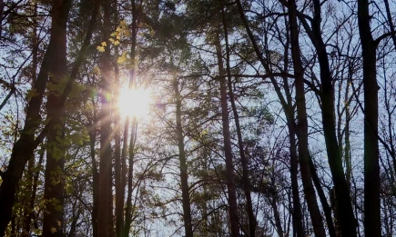 Осеннее равноденствие в 2025 году: дни начнут становиться короче - НТР 24