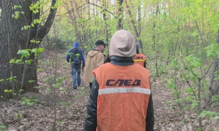 Нижнекамский поисково-спасательный отряд «След» сменил номер телефона - НТР 24