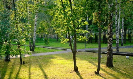 Бабье лето придёт в Татарстан в выходные - НТР 24