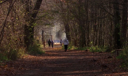 Психолог из Нижнекамска рассказала, как бороться с осенней депрессией - НТР 24
