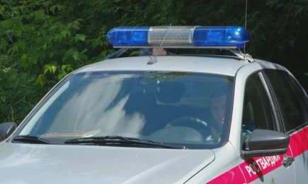 В Нижнекамске по подозрению в краже из магазина задержали супружескую пару - НТР 24