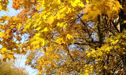 Синоптики рассказали, какая погода будет в Татарстане в сентябре - НТР 24