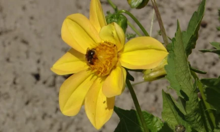 Сентябрь бьет рекорды: в Татарстане ожидается аномальное тепло до +28 градусов - НТР 24