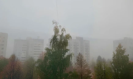 Туманами и тёплой погодой встретит татарстанцев понедельник - НТР 24